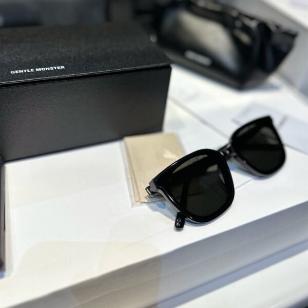 GENTLE MONSTER New sun glasses